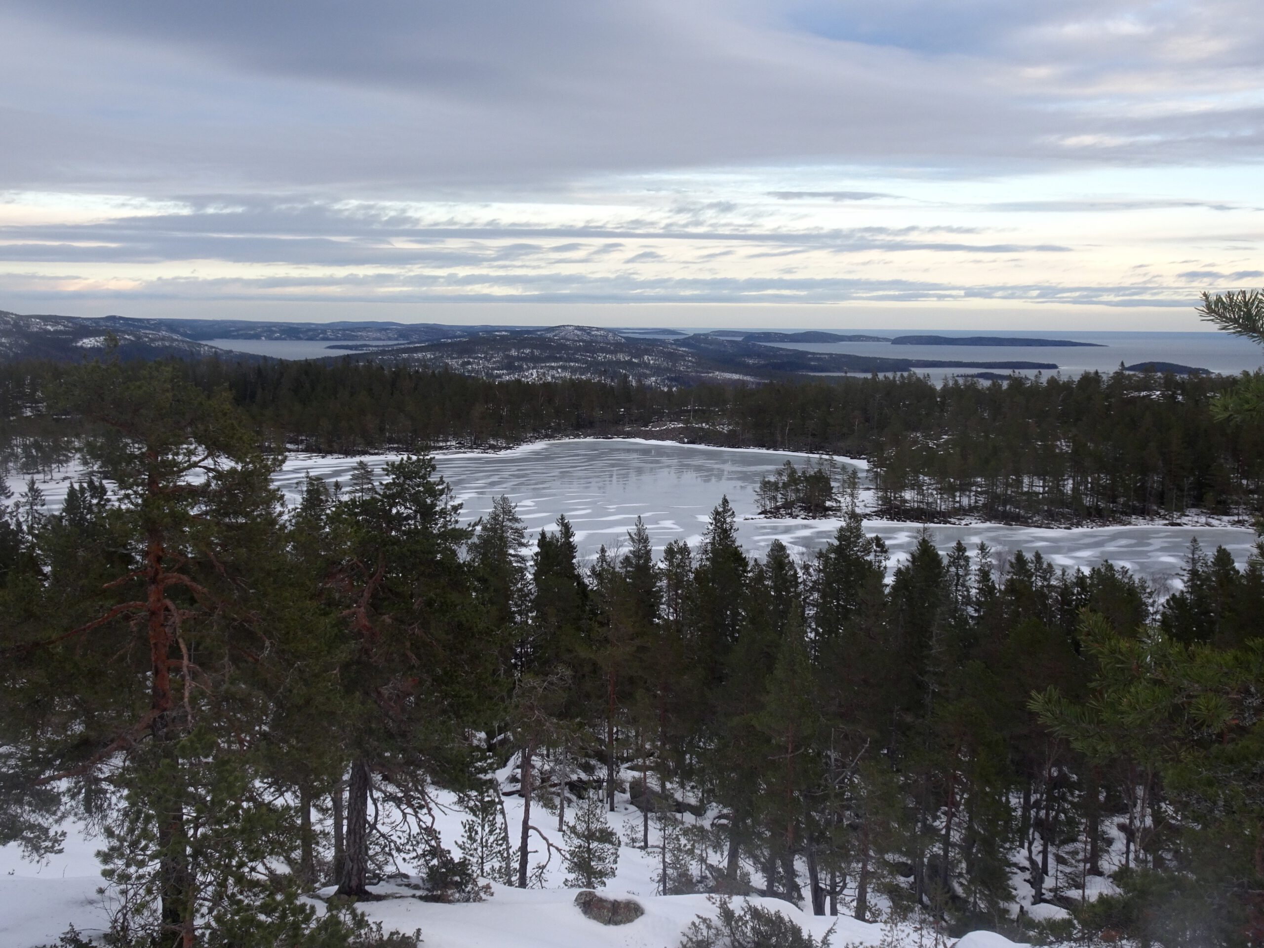 Schweden Roadtrip: Auf der Jagd nach Polarlichtern