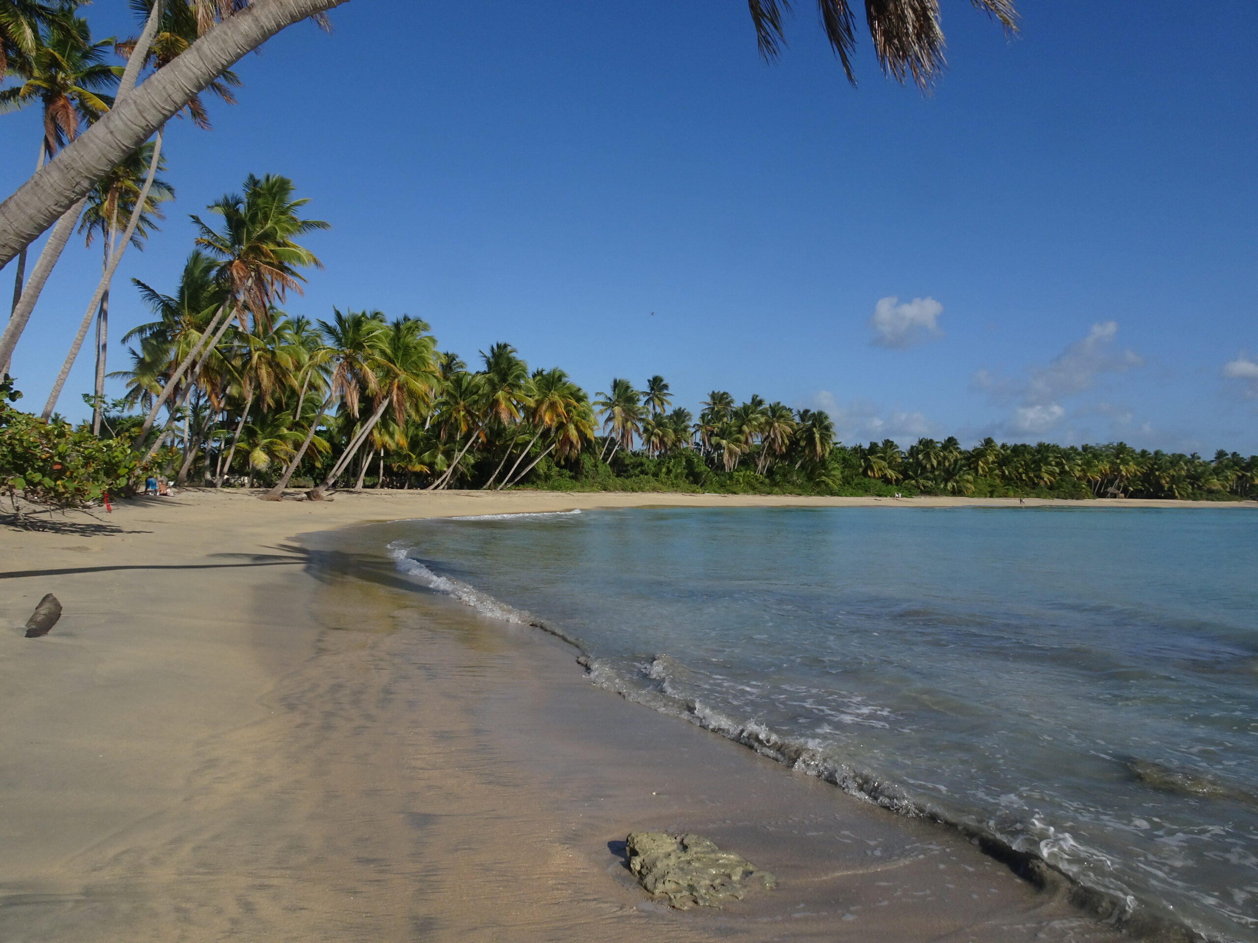 Dominikanische Republik: Ein vollgestopfter Bus und ein einsamer Strand