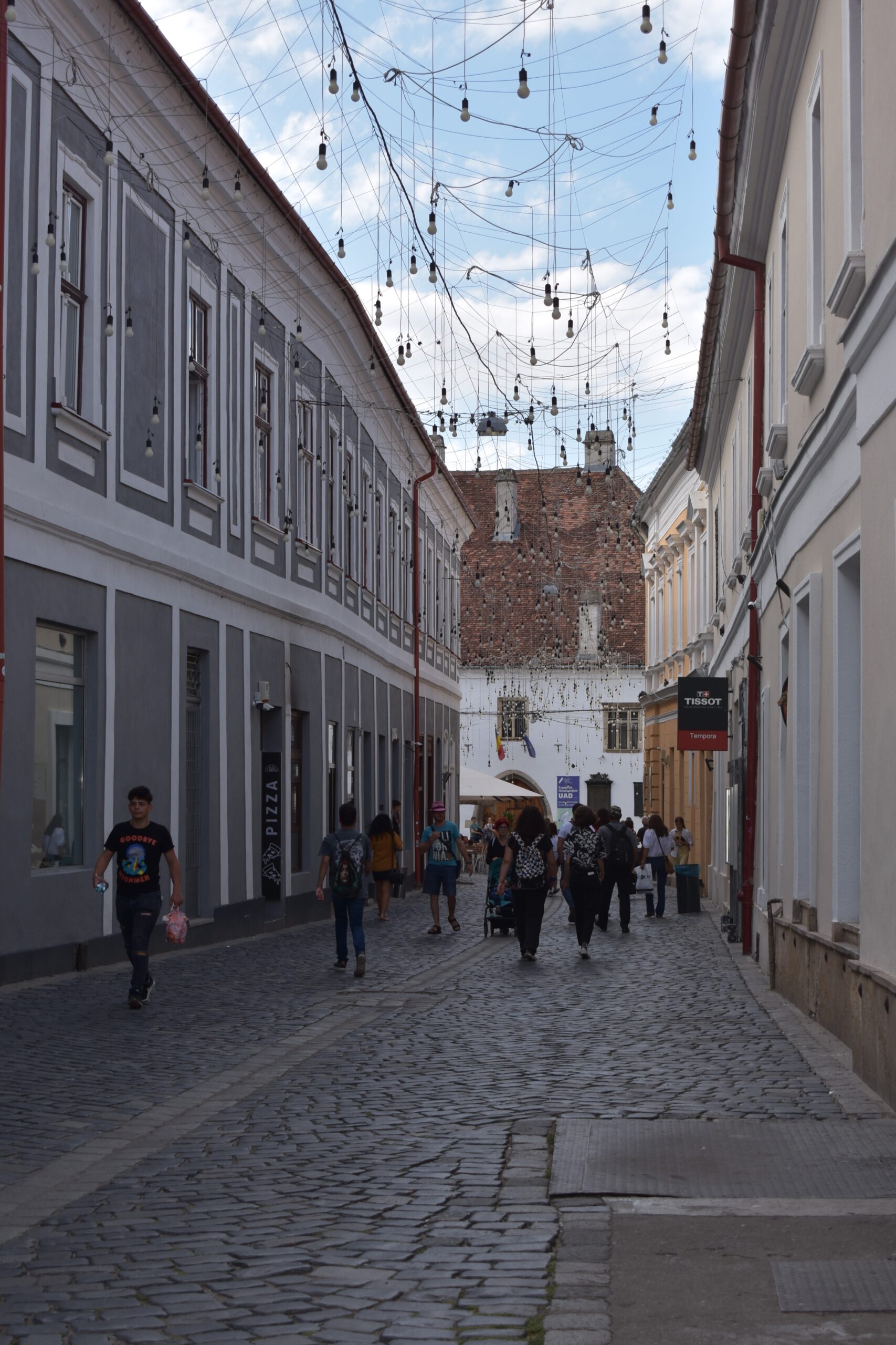 Rumänien: Grusel-Wald und Gourmet-Dinner in Cluj-Napoca