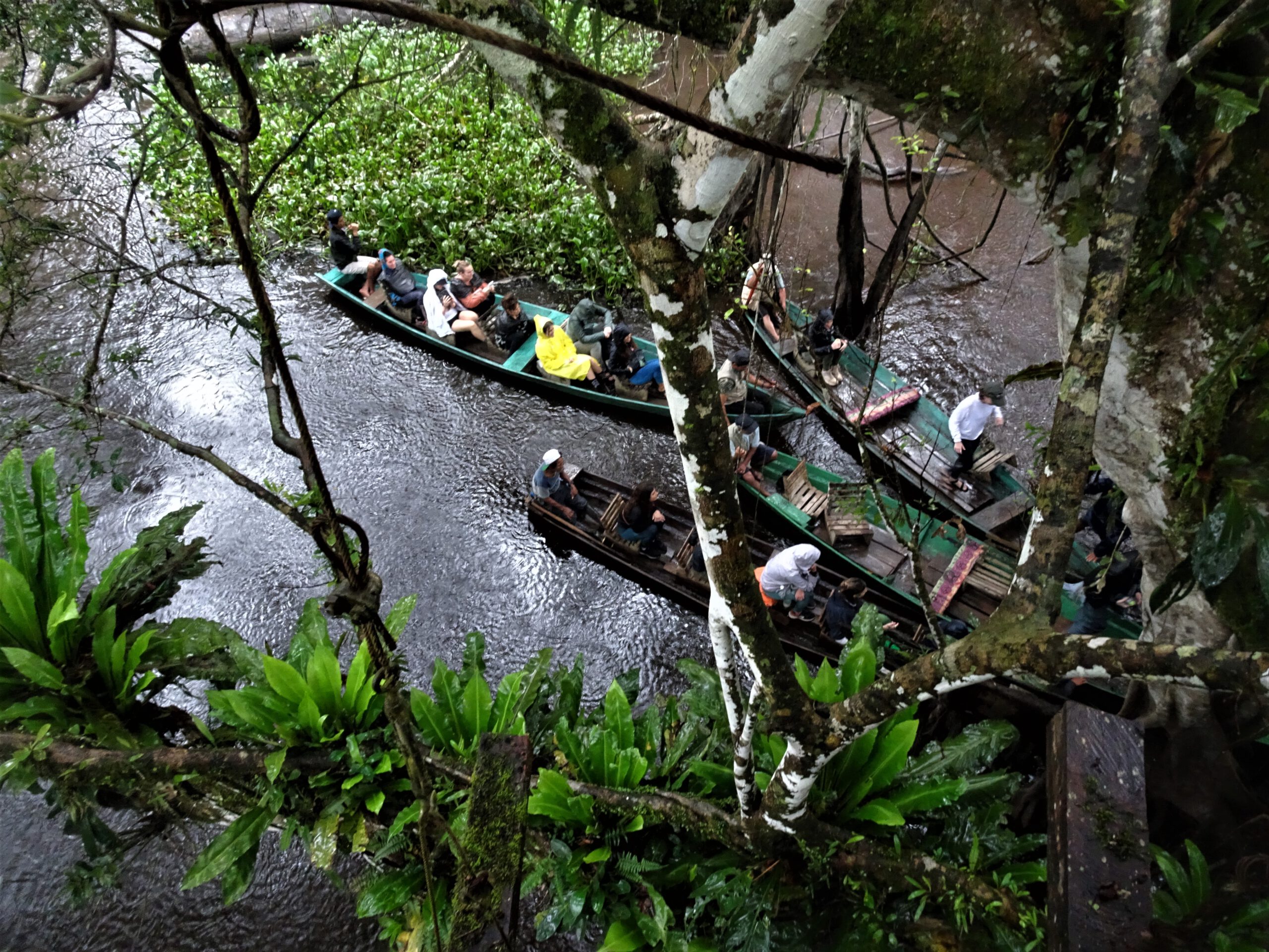 Peru: Im Kanu durch den Regenwald