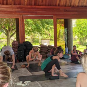 Die tausend Abenteuer der wilden Yogalehrerin Danni