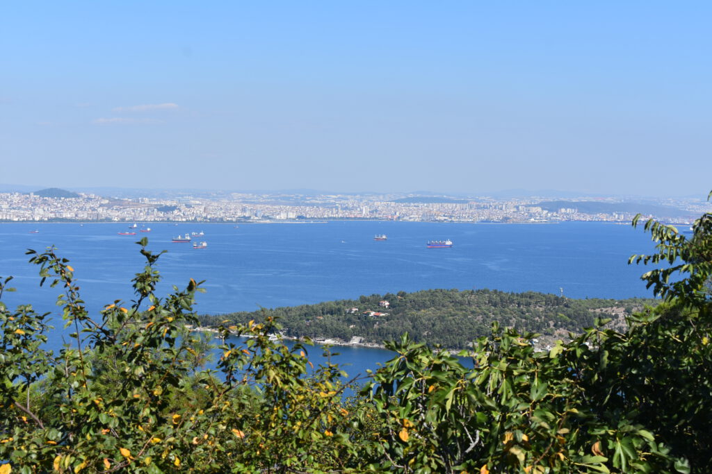 Blick auf Istanbul von einem Hügel auf Büyükada