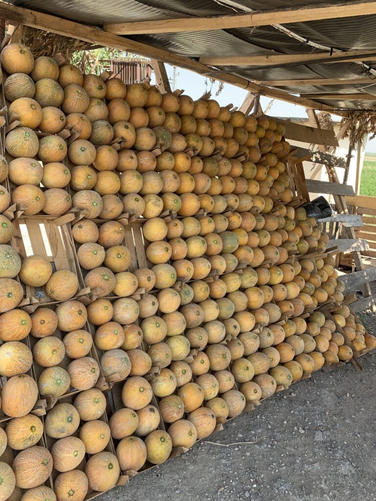 Stand mit Melonen am Straßenrand in der Türkei