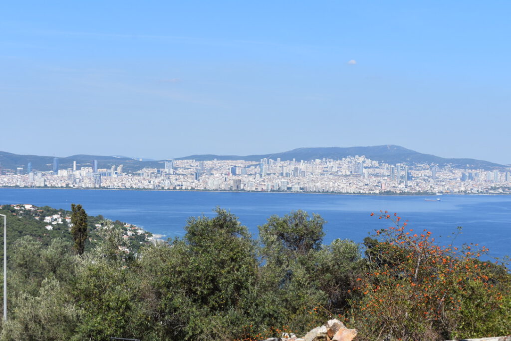 Blick auf Istanbul von einem Berg auf der Prinzeninsel
