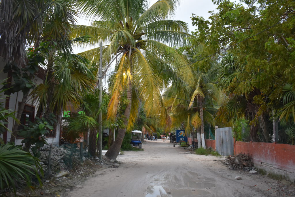 Von Palmen gesäumter Gehweg auf der Isla Holbox