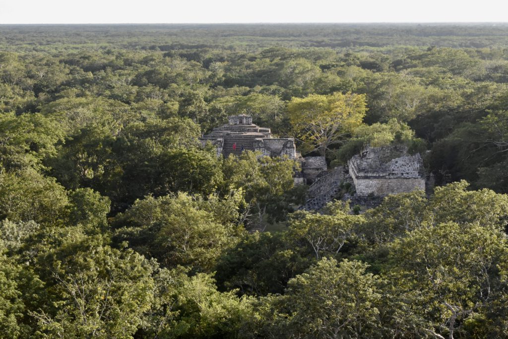 Blick von einer ehemaligen Maya-Pyramide in Ek Balam. Man sieht den Wald und die gegenüber liegenden Pyramiden.