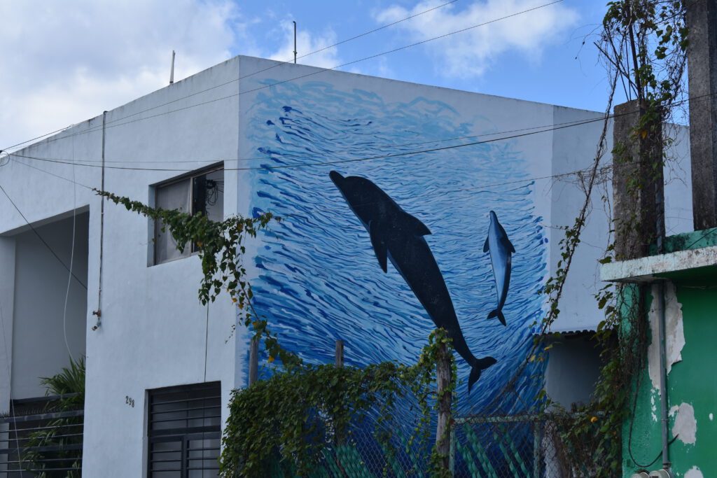 Bild zweier Delfine an einem Wohnhaus auf Cozumel
