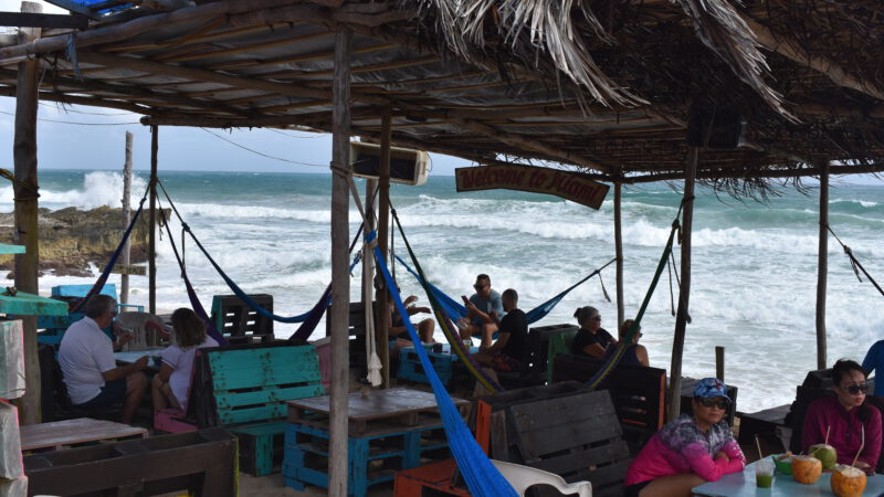 Mexiko / Yucatán: Mit den Waschbären an der rauen Küste von Cozumel