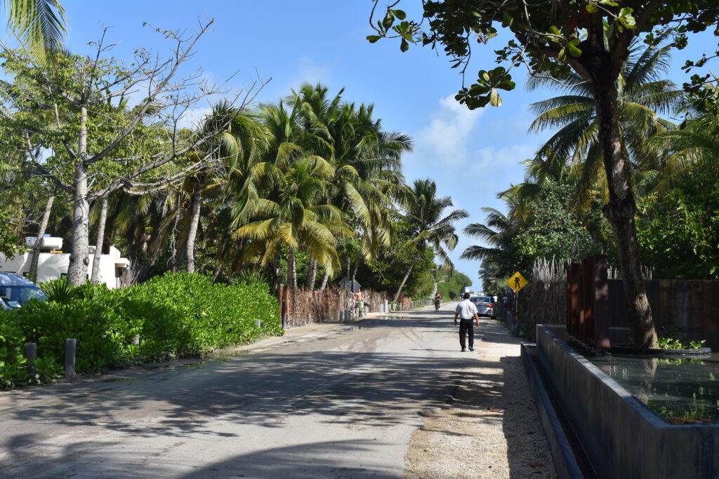 Mit Palmen gesäumte Straße in Tulum Beach
