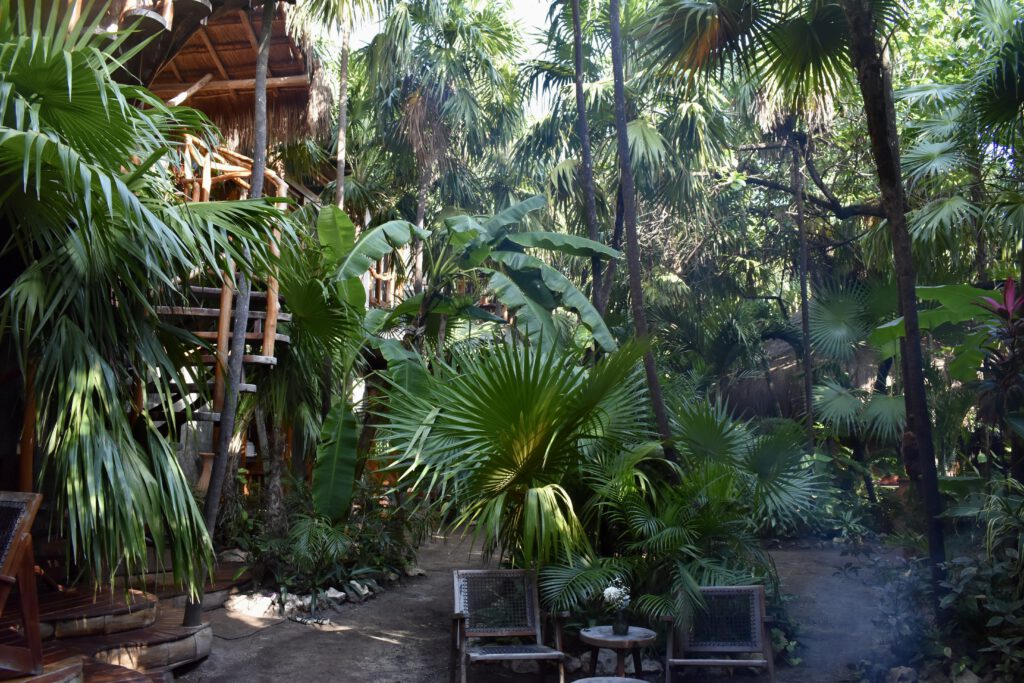 Mit Palmen zugewucherte Unterkunft des Yoga-Retreats