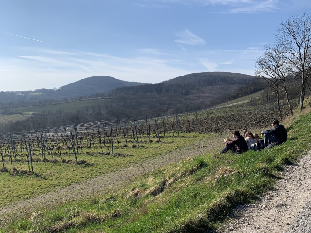 Spaziergänger sitzen in den Nussdorfer Weinbergen