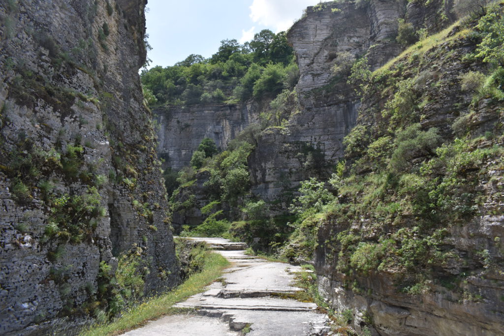 Blick in die Osum-Schlucht
